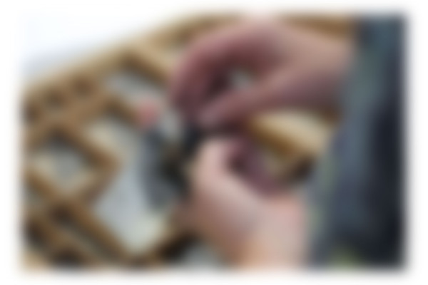 John Conway Thumbnail