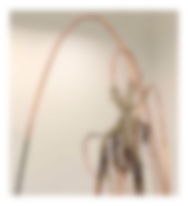 Katherine Sankey Thumbnail
